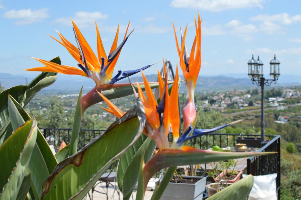 Bed And Breakfast Mirador Infinito อัลเลาริน เอล กรันเด ภายนอก รูปภาพ
